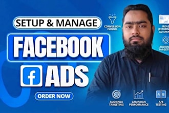 setup and manage facebook ads