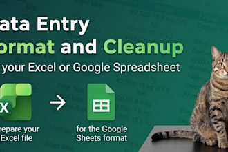 do data entry, format or cleanup for your excel