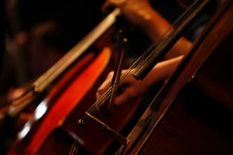 record professional cello for your song, film or project