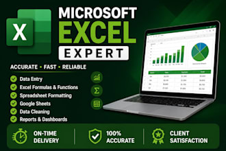 create professional microsoft excel spreadsheets