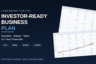 write an investor and bank ready business plan with financials