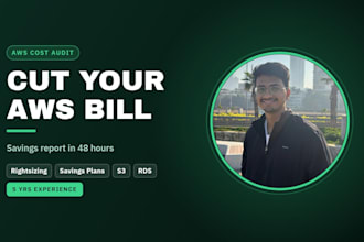 audit your AWS bill and deliver a cost reduction report