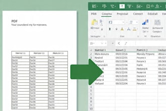 convert PDF to excel  word  100 accuracy