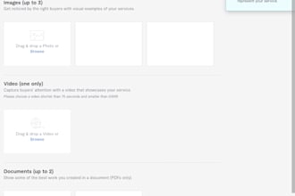 translate urdu to english documents with in 24 hours