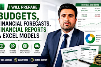 prepare budgets, financial forecasts, financial reports and excel models