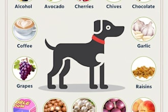 create a personalized pet care plan for your dog or cat
