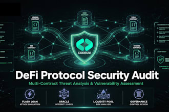 perform a professional defi protocol security audit