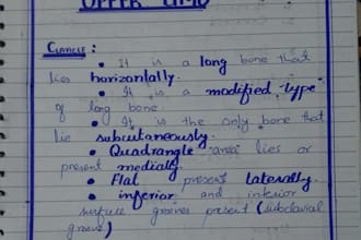 provide high quality hand written assignments