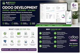 develop, customize, fix and integrate odoo erp