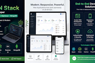 expert mern stack developer