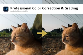 do professional lightroom mobile color grading and correction