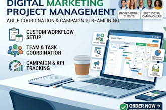provide professional project management and team coordina
