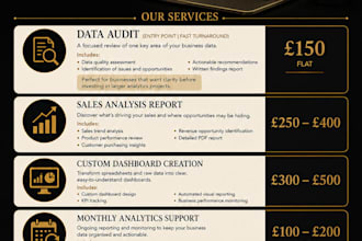 audit your ecommerce sales data and deliver clear insights