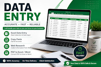 accurate data entry, web research, excel typing