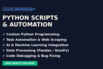 write python scripts, automation, and basic ai codes