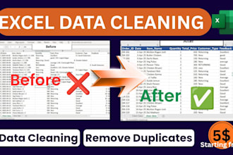 clean excel data, remove duplicates and format spreadsheets