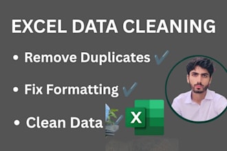 clean excel data, remove duplicates and format spreadsheets