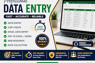 do excel data entry