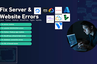 fix complex server errors, website bugs, and critical crashes