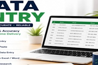 do data entry efficiently