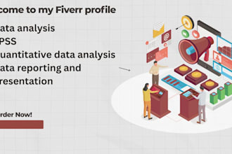 do professional data analysis, visualization, and reporting