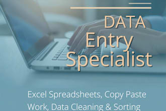 be your expert for data entry and microsoft excel projects