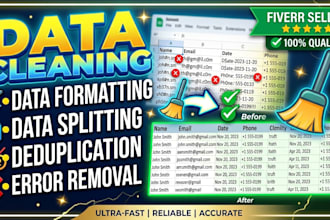 clean, format, merge, split excel data