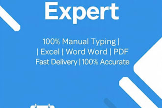 do fast and accurate data entry and excel work