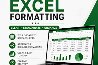 do professional excel formatting and standardization