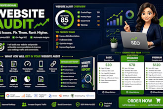 do website audit and provide technical SEO report
