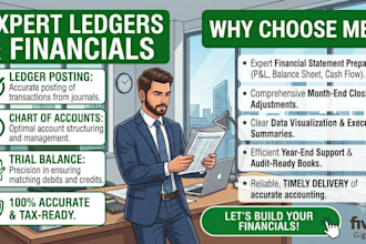 do bookkeeping, general ledger setup, and financial statements