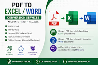 do accurate data entry, excel data entry,