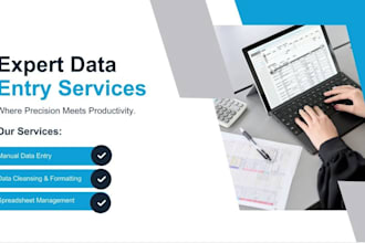 data scraping ,data entry and data extraction , data mining