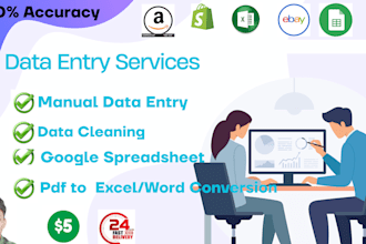do expert excel data entry and copy paste work accurately