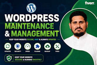 be your wordpress maintenance and management expert