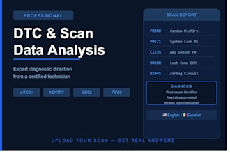 scan data or dtc interpretation