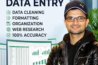 do professional data entry and expert ms excel formatting