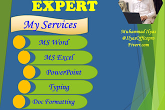 data entry and ms office tasks in word excel and powerpoint