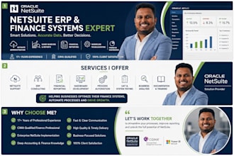 netsuite erp consultant for finance systems and accounting