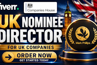 provide UK nominee director service for companies house