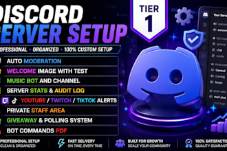 setup a professional custom discord server