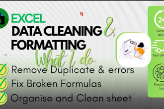 do professional excel data cleaning, formatting