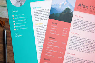 design a professional ats friendly resume using canva pro