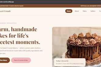 design a professional business or portfolio website for you