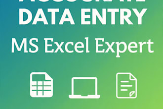 do fast accurate data entry, ms excel work and form filling