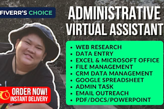 support your daily admin task, email, data entry, CRM, excel, spreadsheet, docs