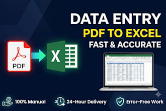 convert PDF to excel spreadsheet accurately in 24hrs