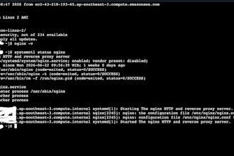 set up your linux web server with nginx or caddy, SSL, and domain configuration