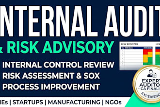 perform internal audit, risk assessment and internal control review