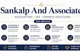 provide professional bookkeeping and accounting services